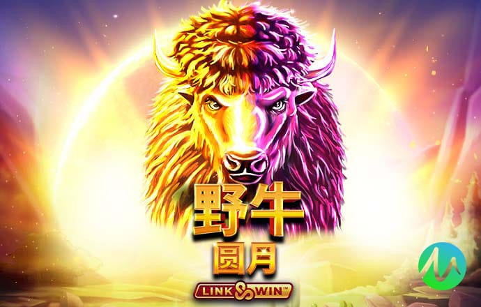 3868银河总站